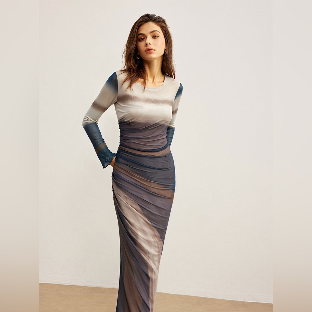 Commense Ombre Long Sleeve Ruched Mesh Maxi Dress
Size M